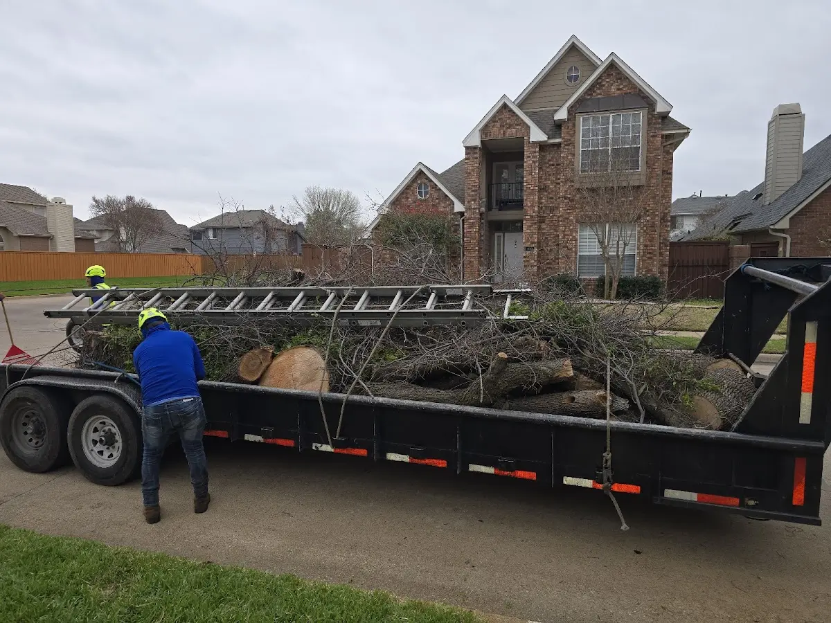 Expert Tree Pest Control with proper safety equipment in Lakeville